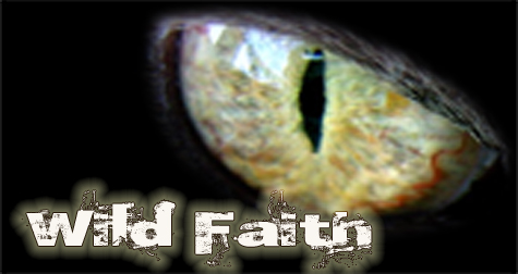 Wild Faith Sermon Series graphic - 475